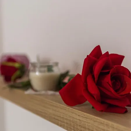 Apartamento Dakovic Radmani