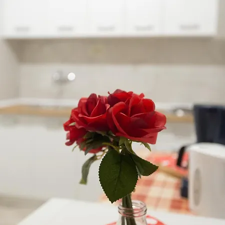 Appartement Dakovic *