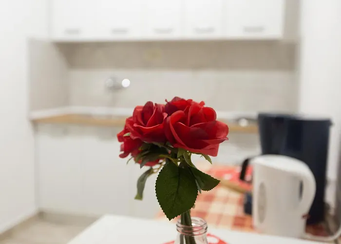 Appartement Dakovic *